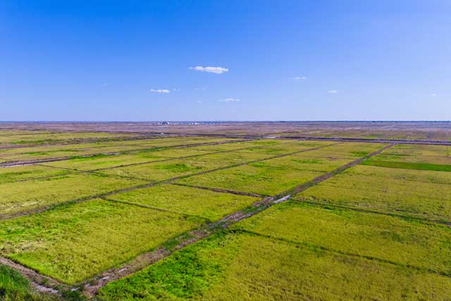 5-鎮(zhèn)賚鹽堿地改造項目.jpg 5-鎮(zhèn)賚鹽堿地改造項目.jpg