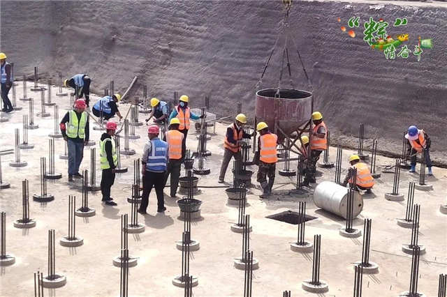 國(guó)際汽車(chē)城青年人才服務(wù)園項(xiàng)目.jpg 國(guó)際汽車(chē)城青年人才服務(wù)園項(xiàng)目.jpg